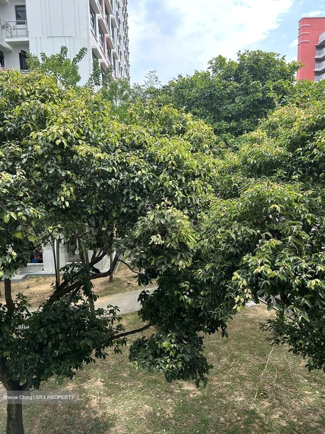 Blk 498 Jurong West Street 41 (Jurong West), HDB 3 Rooms #502369031